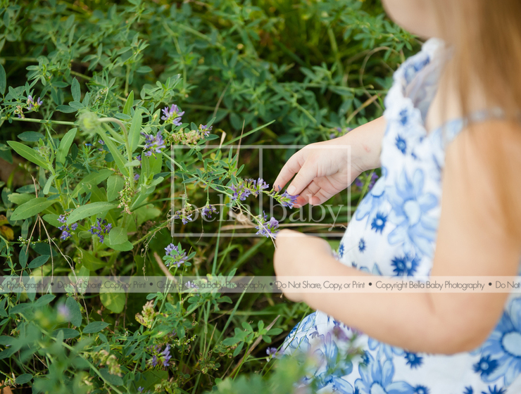 Image 71